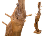 Portemanteau en teck 'Tree' de Cipì cm 55 x 180h